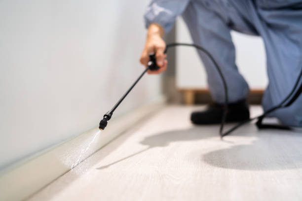 Licensed Fumigation Services service in South Run, VA - Nex Pest Control