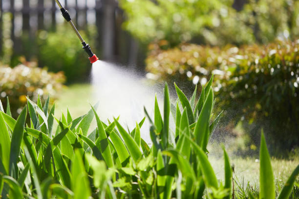 24/7 Emergency Fumigation Services experts in South Run, VA